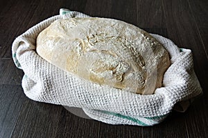 Sourdough bread dough rising in a banneton