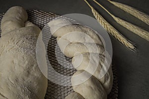Sourdough bread fermenting, gray background