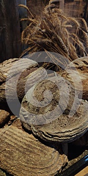 Sourdough Bread in worm light