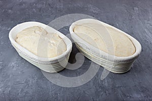 Sourdough dough in proofing baskets. Whole wheat recipe.