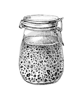 Sourdough starter in glass jar vector