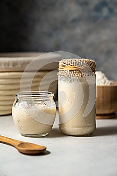 Sourdough starter in jars. Healthy wild fresh homemade yeast for sourdough bread baking.