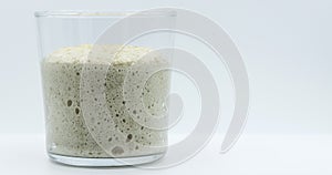 sourdough starter on white background