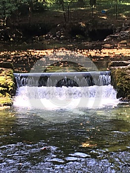 Sours of the river Bosna photo