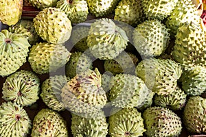 Soursop also called graviola, guyabano,  in Hispanic America, guanï¿½bana is the fruit of Annona muricata, a broadleaf,