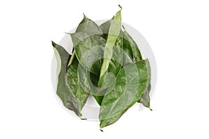 Soursop or annona muricata dried green leaves isolated on white background.top view,flat lay