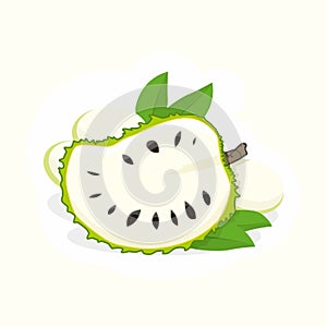 Soursop fruit simple design illustration vector