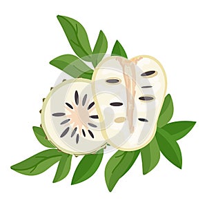 Soursop icon cartoon vector. Graviola food