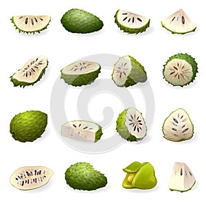 Soursop icons set cartoon vector. Annona muricata photo