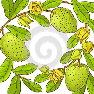 Soursop vector frame