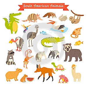 Sourth America animals vector illustration. Big vector set. on white background