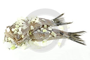 Soused herring photo