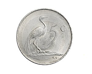 South Africa five cents coin on a white isolated background