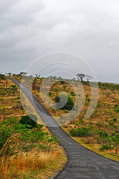 South Africa, Hluhluwe Imfolozi Game Reserve, KwaZulu-Natal