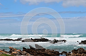 South Africa, Western Cape, Cape Agulhas, beach, ocean, nature reserve