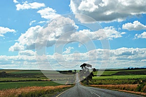 South Africa, Western Cape, road to Cape Agulhas, road, landscape