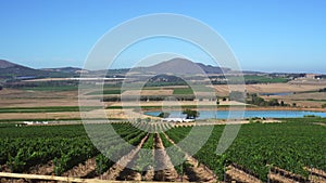South Africa wineyard farm landscape new world wine