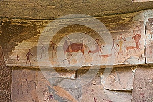 South African Bushman Rock Art 5