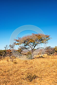 South african landscape, Nature Backgrounds