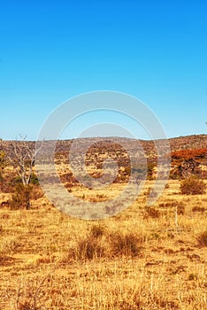 South african landscape, Nature Backgrounds