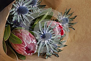 South African Protea flower and Eryngium flower bouquet in wrapping paper