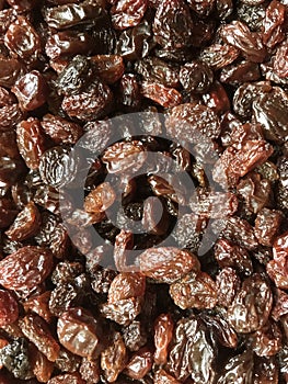 South African raisins up very close.