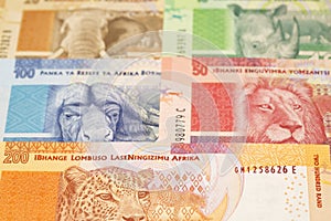 South African rand a business background