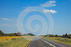 South African road through the savannas and deserts with marking