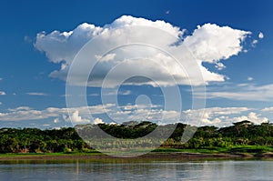 South America, Amazon river landscape in Brazil