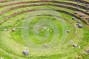 South America, Moray, Cusco, Peru