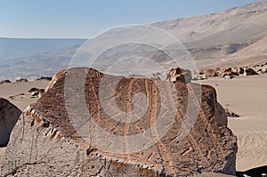 South America, Peru, Toro Muerto Petroglyphs photo