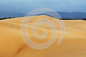 South America, Sand dunes in Venezuela near the city of Coro