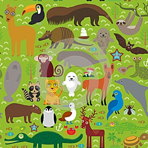 South America seamless pattern sloth anteater toucan lama fur seal armadillo boa manatee dolphin Maned wolf raccoon jaguar macaw