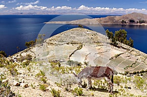 South America, Titicaca lake landscape