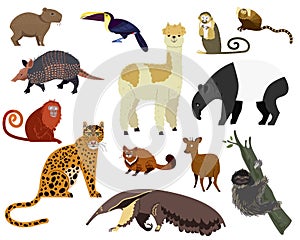 South American animal vector illustration, cartoon armadillo, tapir, capybara, cute alpaca wild or zoo character set