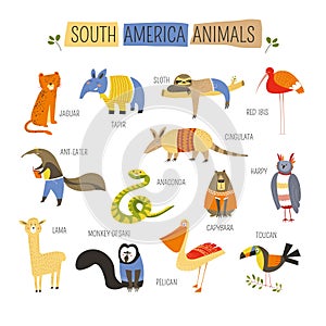 South American animals vector cartoon design