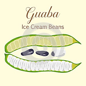 South American exotic fruits Guaba Ice Cream Bean photo