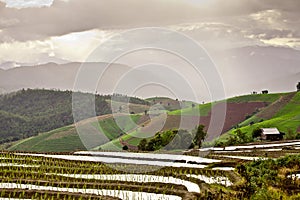 South Asian rice field terraces.