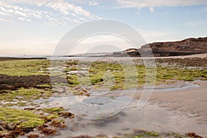 South Australian Beach Landscape