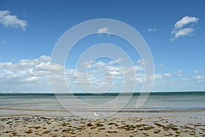 South beach on Studland Bay near Swanage on Dorset coast