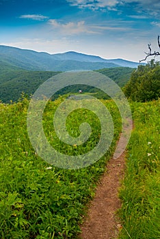 South Bound on the Appalachian Trail with the Over