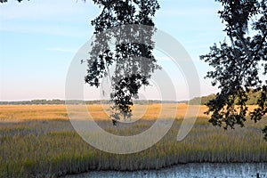 The Low Country of South Carolina has much in the way of beautiful landscapes