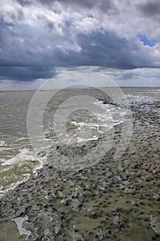 South Carolina Coastal Mud Flats