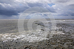 South Carolina Coastal Mud Flats