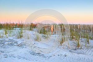 South Carolina Folly Beach Erosion Fencing
