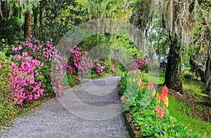 South Carolina Garden Walkway Flowers Azaleas