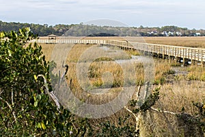 South Carolina Low Country Landscape