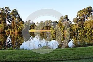 South Carolina nature background