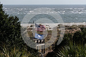 South Carolina State and American Flags Waving