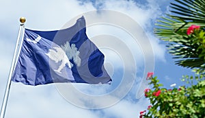 South Carolina State Flag with sky background and palm with red flowers